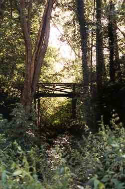 Brücke neben Fischermühle